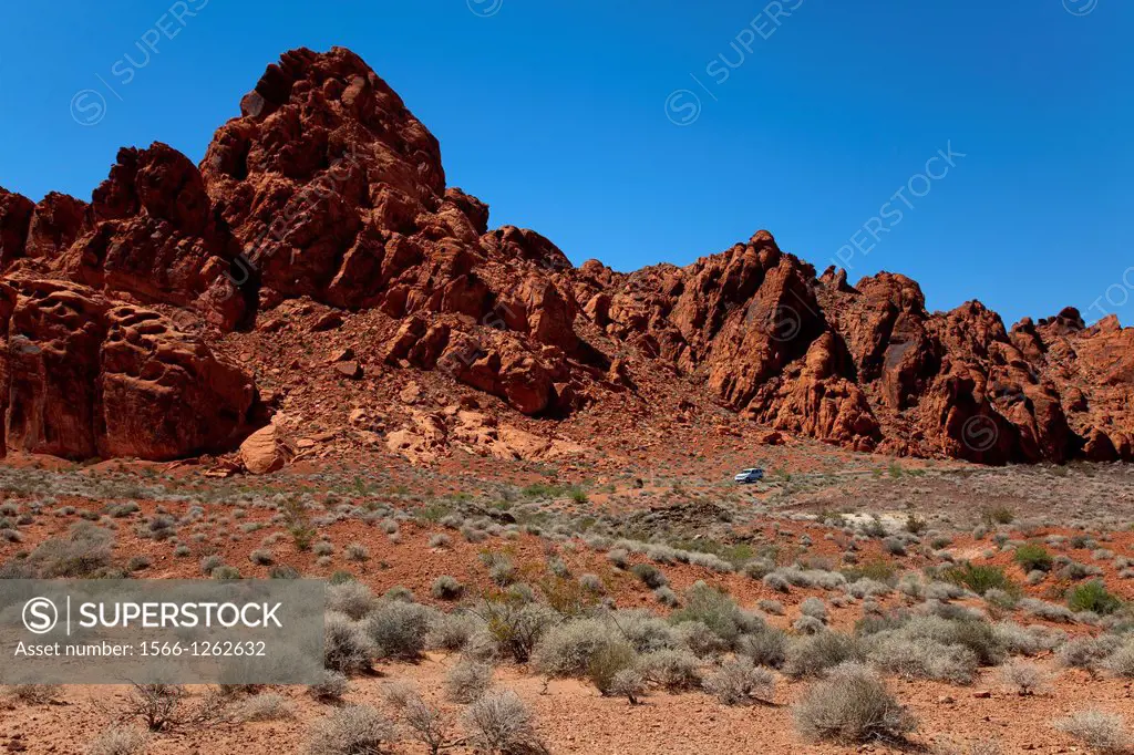 The Valley of Fire derives its name from red sandstone formations, formed from great shifting sand dunes durind the age of dinosaurs, 150 million year...