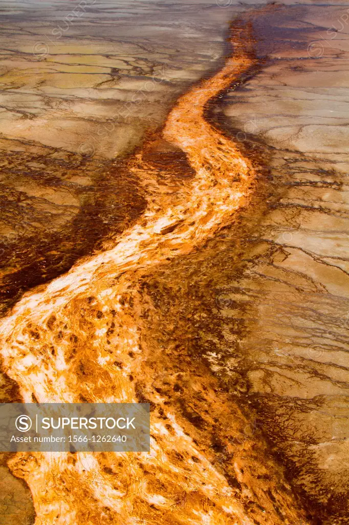 Thermophilic bacteria, microorganisms at Midway Geyser Basin, Yellowstone National Park, Idaho, Montana and Wyoming, USA.