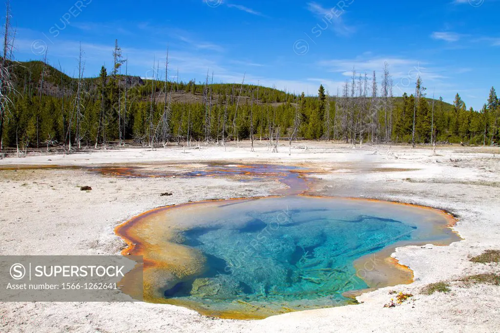 Colorful hot springs thermal pool, at Black Sand Basin, Yellowstone National Park, Wyoming/Idaho, Montana, USA.
