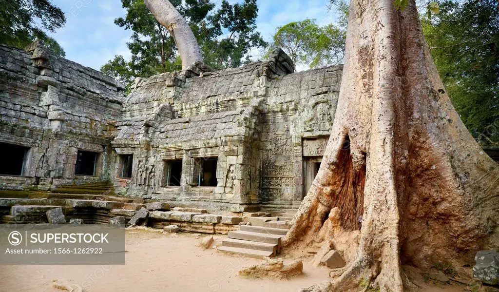 Angkor Temples Complex - Ruins of Ta Prohm Temple, Angkor old Khmer Empire - Cambodia, Asia, UNESCO