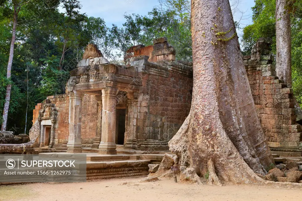 Ruins of the Ta Prohm Temple - Angkor Temple Complex, Siem Reap Province, Cambodia, Asia, UNESCO