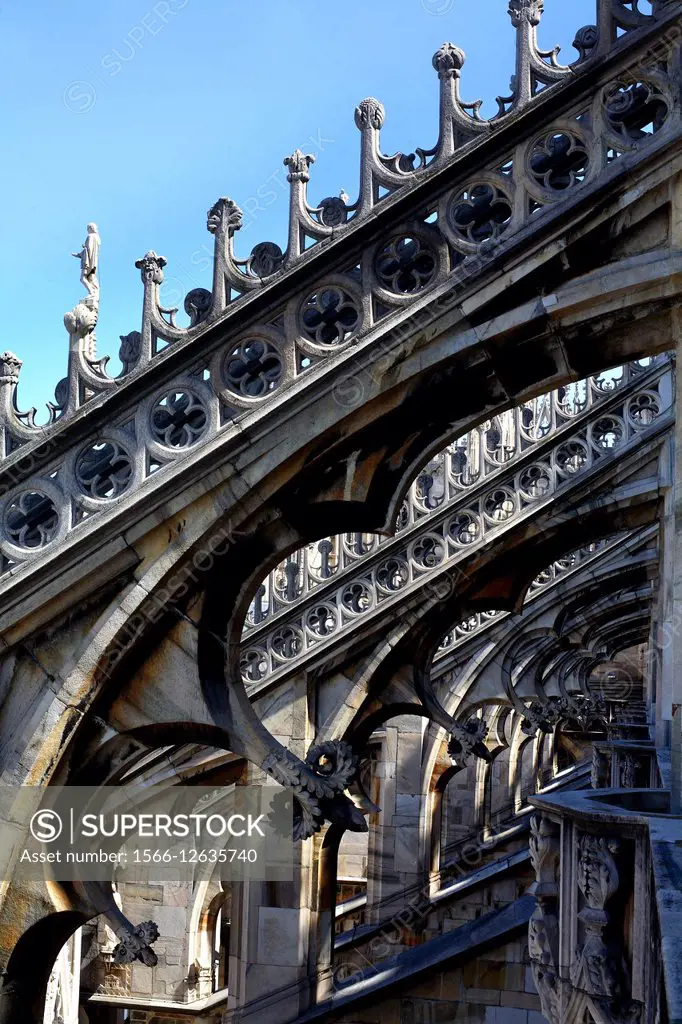 detail of the buttresses of the Cathedral of Milan, Gothic