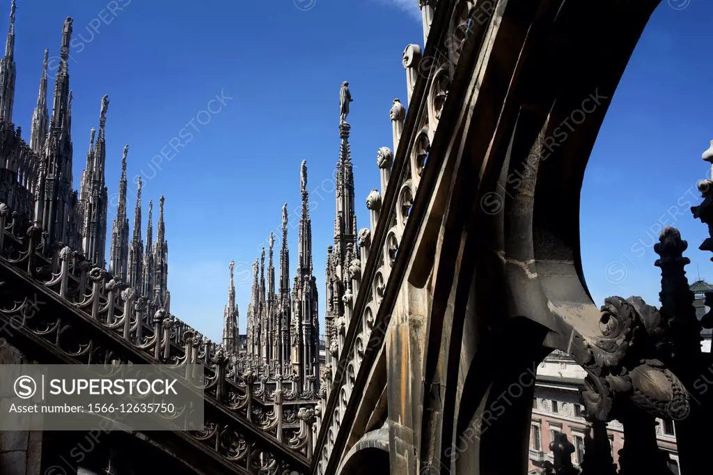 detail of the buttresses of the Cathedral of Milan, Gothic