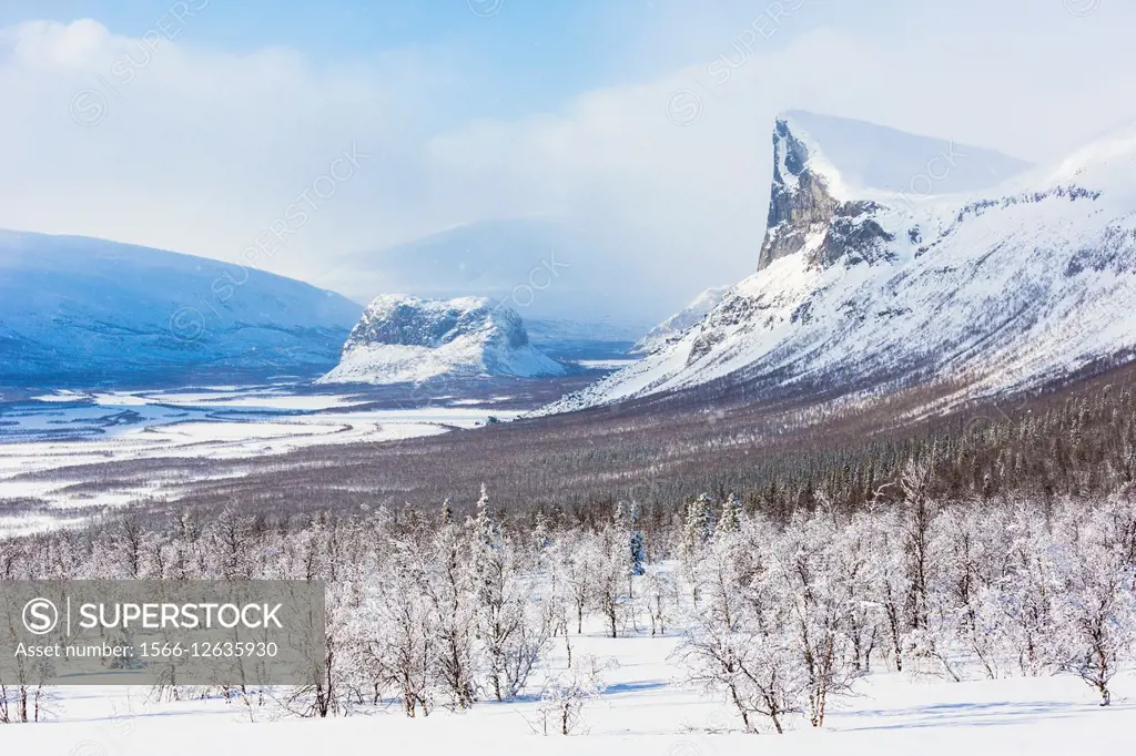 View over Sarek national park with mount Skerfe and mount namatj and Laitaure delta, Snow on the trees and sunny weather, Sarek national park, Swedish...