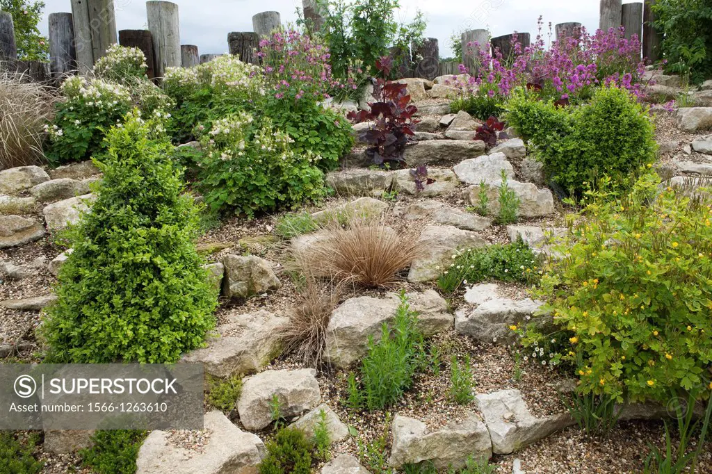 Rock garden planted with drought tolerant plants, Kent England.