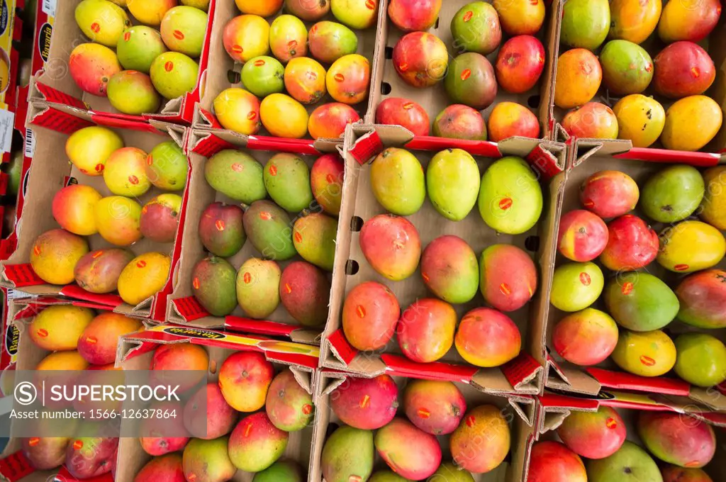 Fresh mangoes at the Tshwane Fresh Produce Market in South Africa.