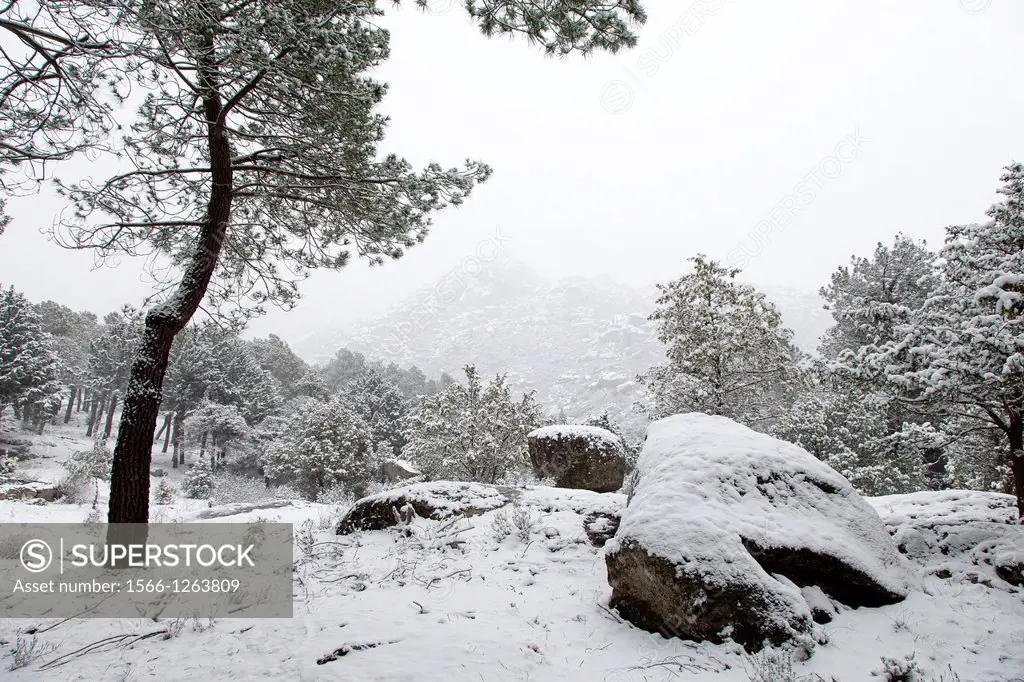 Winter scene, Pedriza Natural Reserve, Madrid, Spain