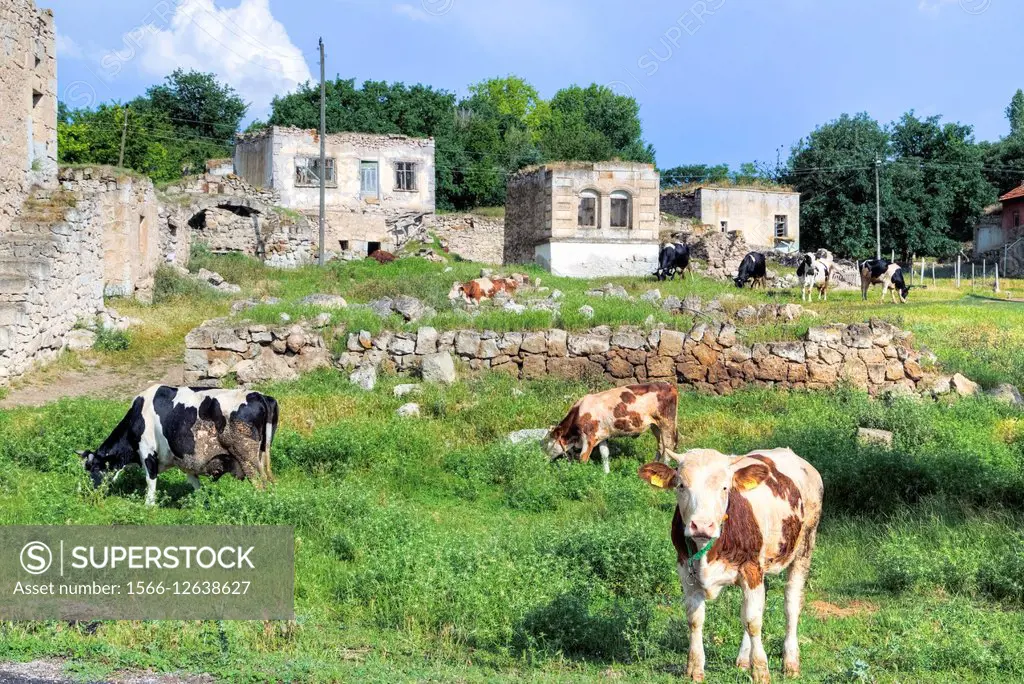 rural Anatolia, Agzikarahan, Konya; Aksaray; Anatolia; Turkey;.