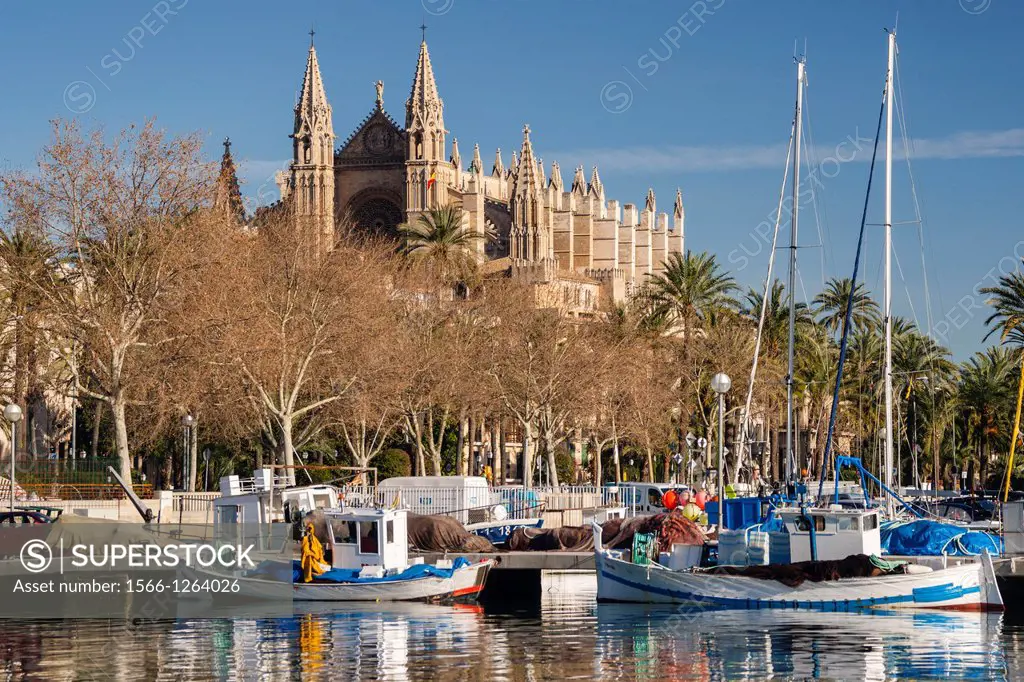 Palma Cathedral from Moll de la Riba, Palma, Mallorca, Balearic Islands, Spain, Europe