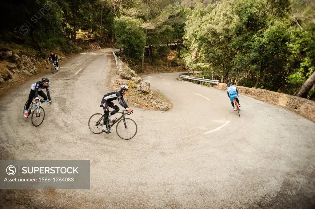 cyclists descending the hill of Honor, Bunyola-Orient Road, Tramuntana, mallorca, Balearic Islands, Spain, Europe