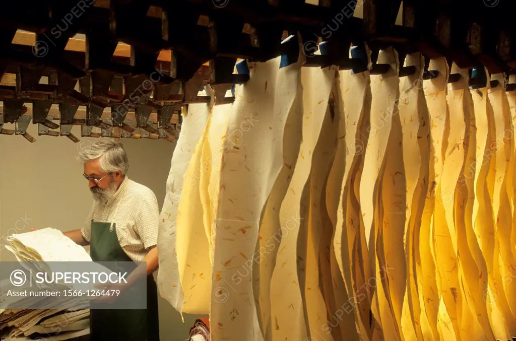 drying, traditional paper-making, workshop of Mr Gouy, Fontenoy-la-Joute, one of the Book Towns, Meurthe-et-Moselle department, Lorraine region, Franc...