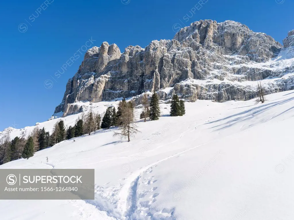 Rosengarten also called Catinaccio mountain range in the Dolomites of South Tyrol Alto Adige in winter and deep snow  The famous rock face Laurin Wand...