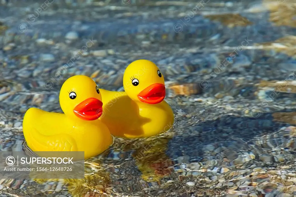 Two rubber ducks swimming in the Aegean Sea.
