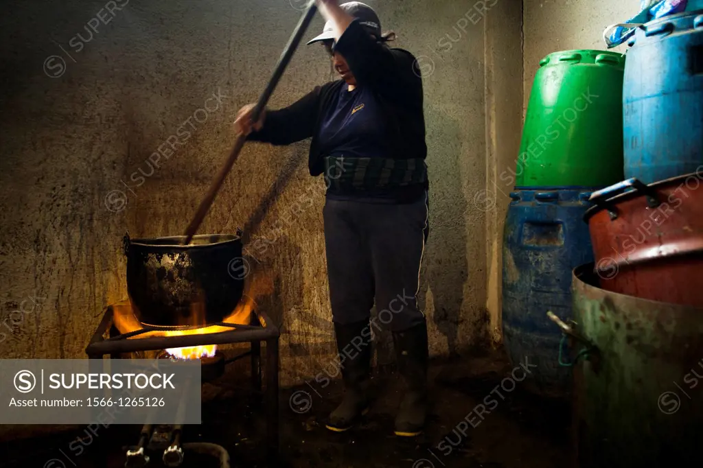 Ecuador, Salinas, Carmen Guaman dyeing natural wool.