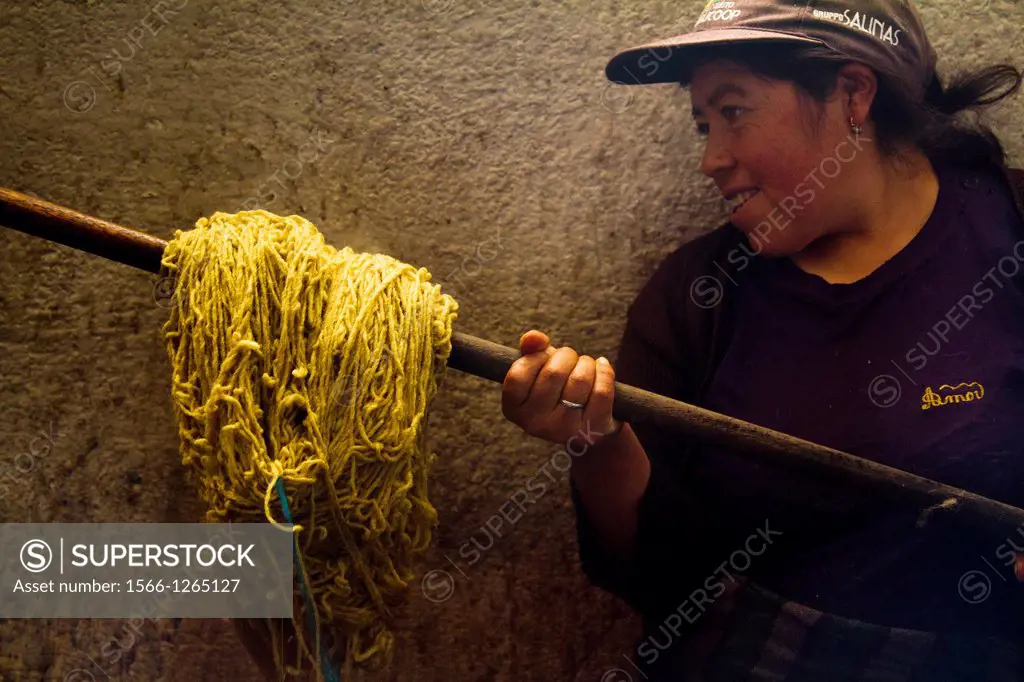 Ecuador, Salinas, Carmen Guaman dyeing natural wool.