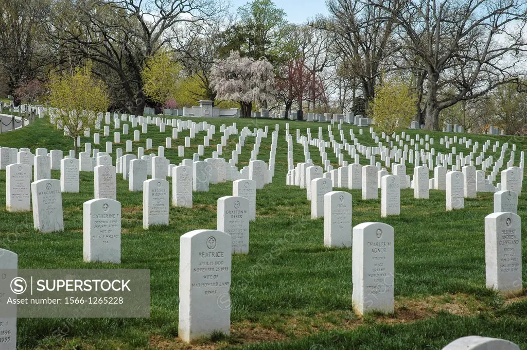 Gravestones rows Arlington National Cemetery, Arlington County, Virginia, USA