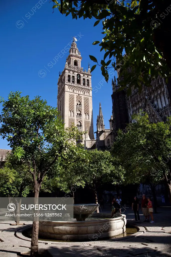 La Giralda view from the courtyard of orange trees  Seville, Andalusia, Spain
