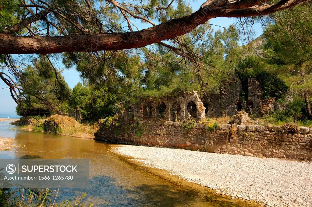 Ruin, Olympos Lycia Turkey, Western Asia