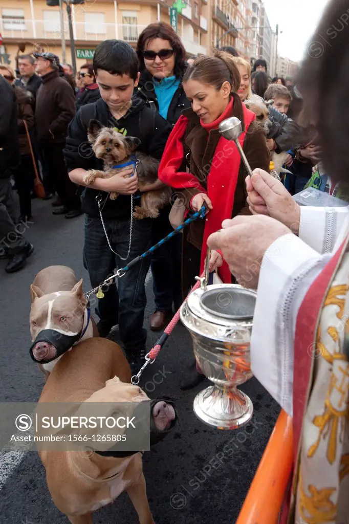 blessing of animals on the day of San Antonio Abad