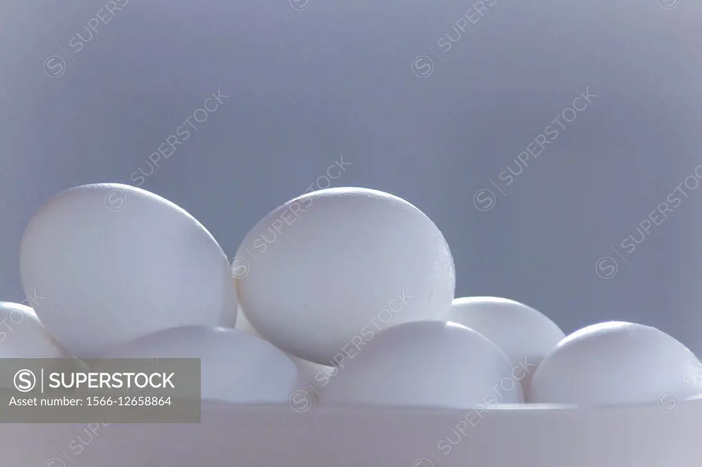 Siloutte of eggs in shell with a landscape view in monotones.