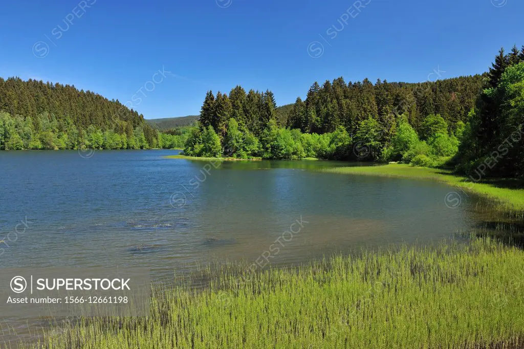 Lake in summer, Soesetalsperre, Osterode, Lower Saxony, Germany