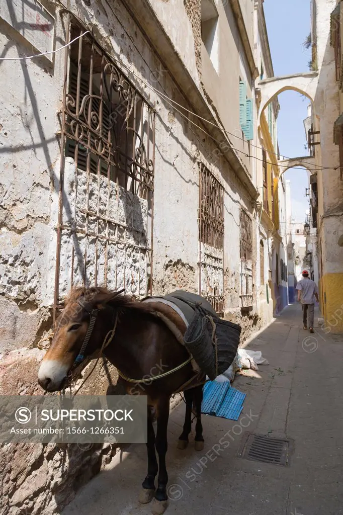 Narrow street of Medina, old city, Tetouan, Tetuan, Morocco.