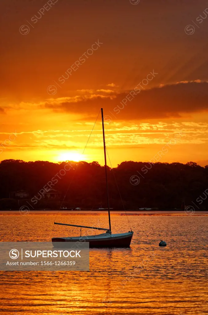Sunrise sailboat, the Lagoon, West Tisbury, Martha's Vineyard, Massachusetts, USA