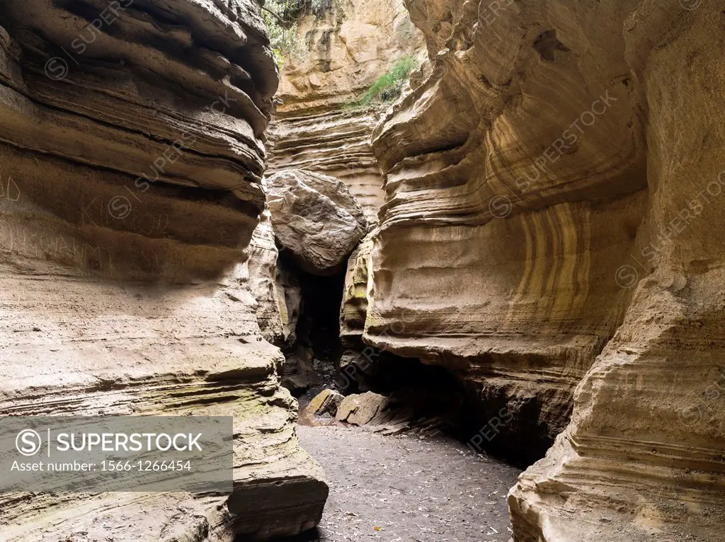 Hell's Gate National Park in Kenya near Lake Naivasha. The lower gorge. The main attraction in the NP are the vertical red basalt cliffs and the narro...