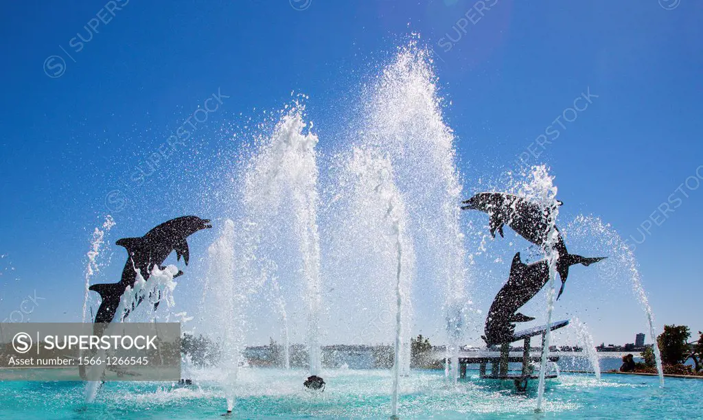 The Dolphin fountain in Island Park or Bayfront Park in Sarasota Florida