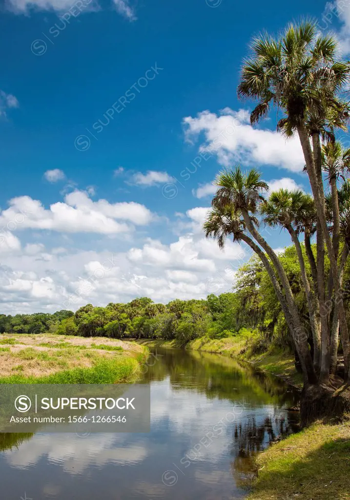 Myakka River in Myakka River State Park in Sarasota Florida