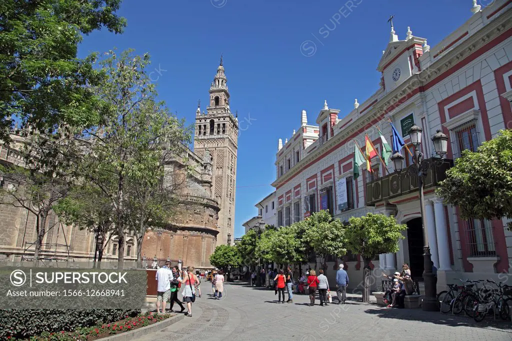 View of the Cathedral and the Giralda in Seville, Spain