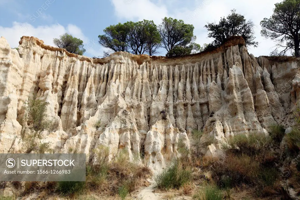 Les Orgues rock formations, Arles-sur-Tech, Pyrenees-Orientales, Languedoc-Roussillon, France.