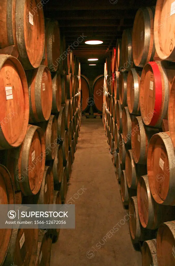 wine casks, Napa Valley, CA.