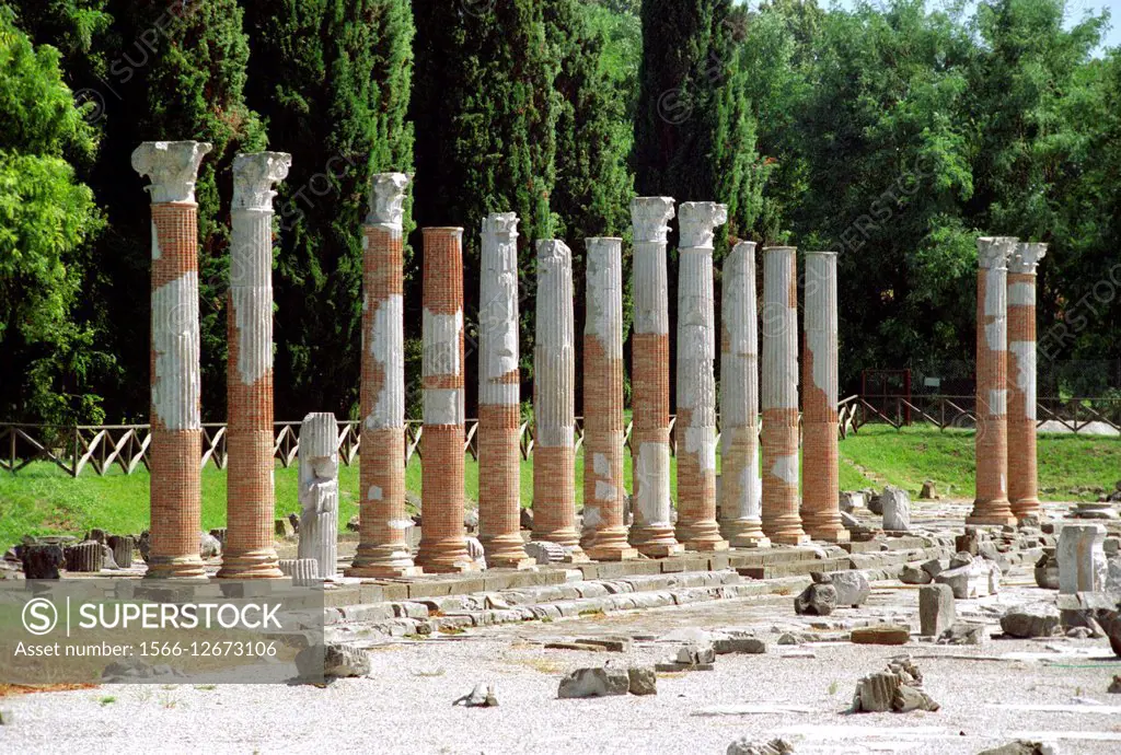 Italy, Friuli Venezia Giulia, Aquileia, Roman Ruins, Forum, Columns. . . . .