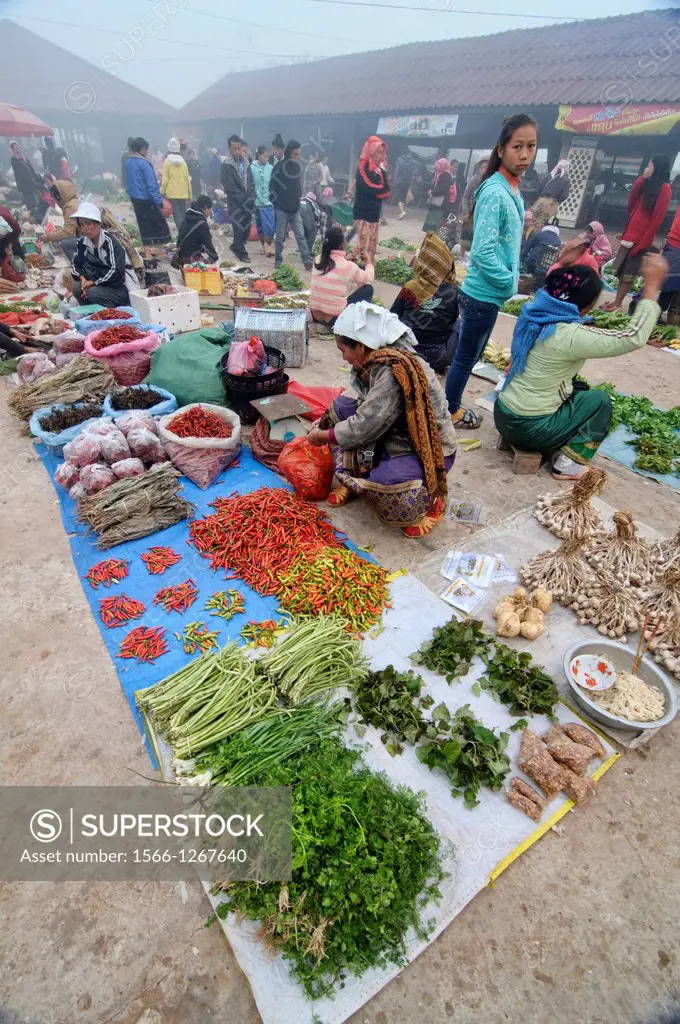 chili and greens vendor at the morning market, Muang Singh, Laos