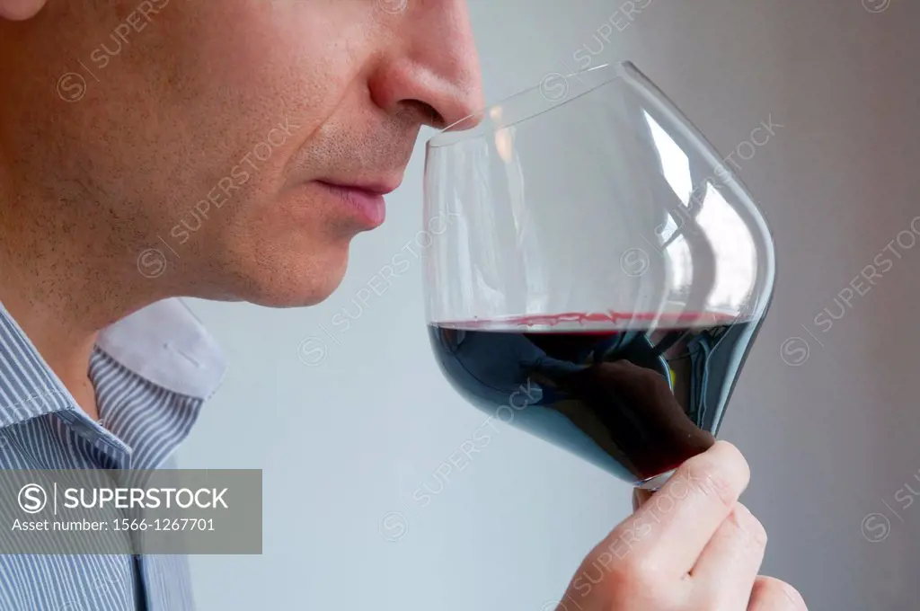 Wine taster smelling red wine. Close view.