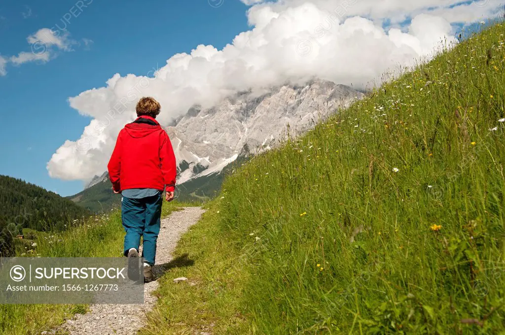 Hiker on a trail in the hiking area Ehrwalder Becken, view at the Wetterstein Mountains, Ehrwald, Tyrol, Austria