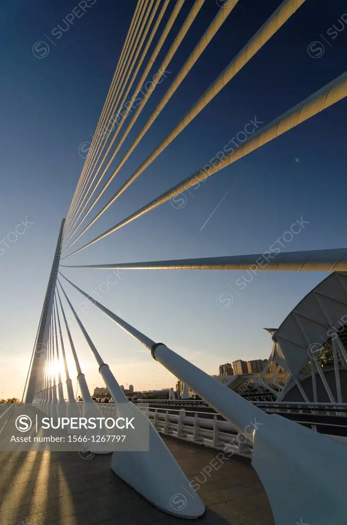 El Pont de lAssut de l'Or is a suspension bridge of The City of Arts and Sciences in Valencia, Spain