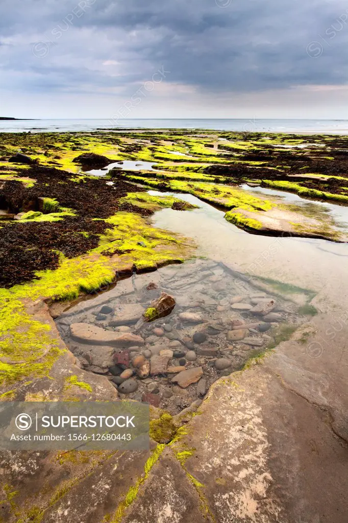 Rock Pool on the Beach at Wellhaugh Point Amble by the Sea Northumberland England.