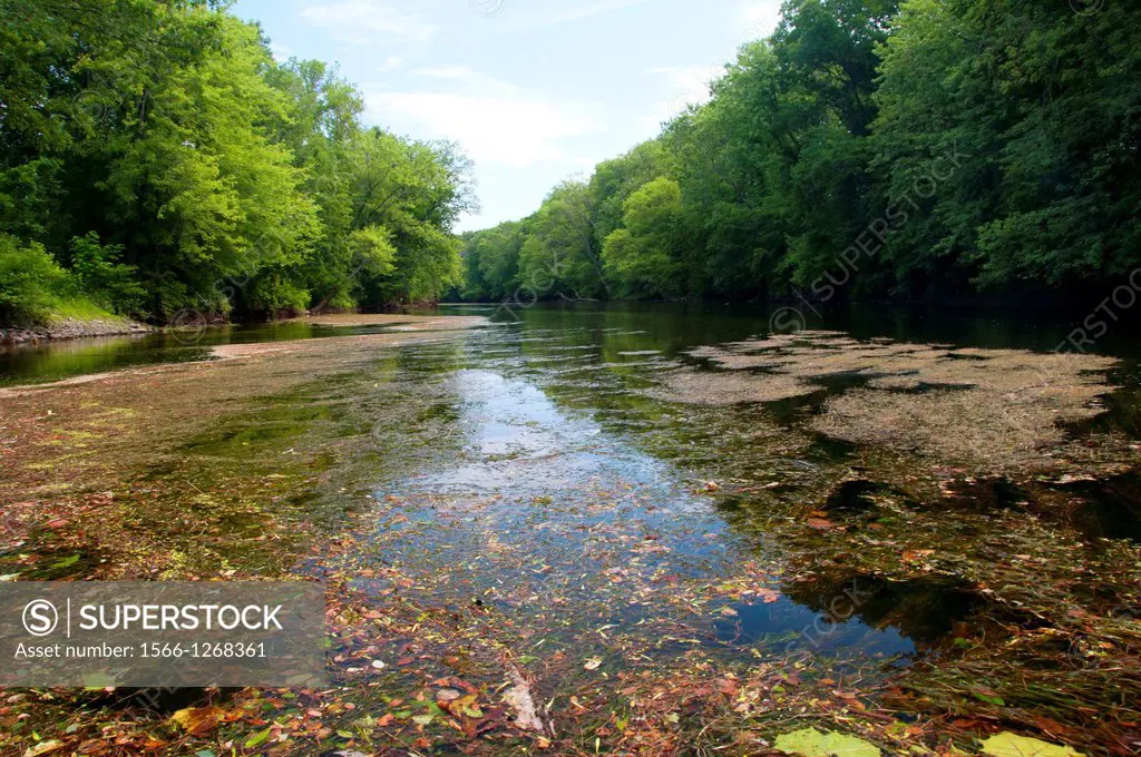 Farmington River, Simsbury, Connecticut