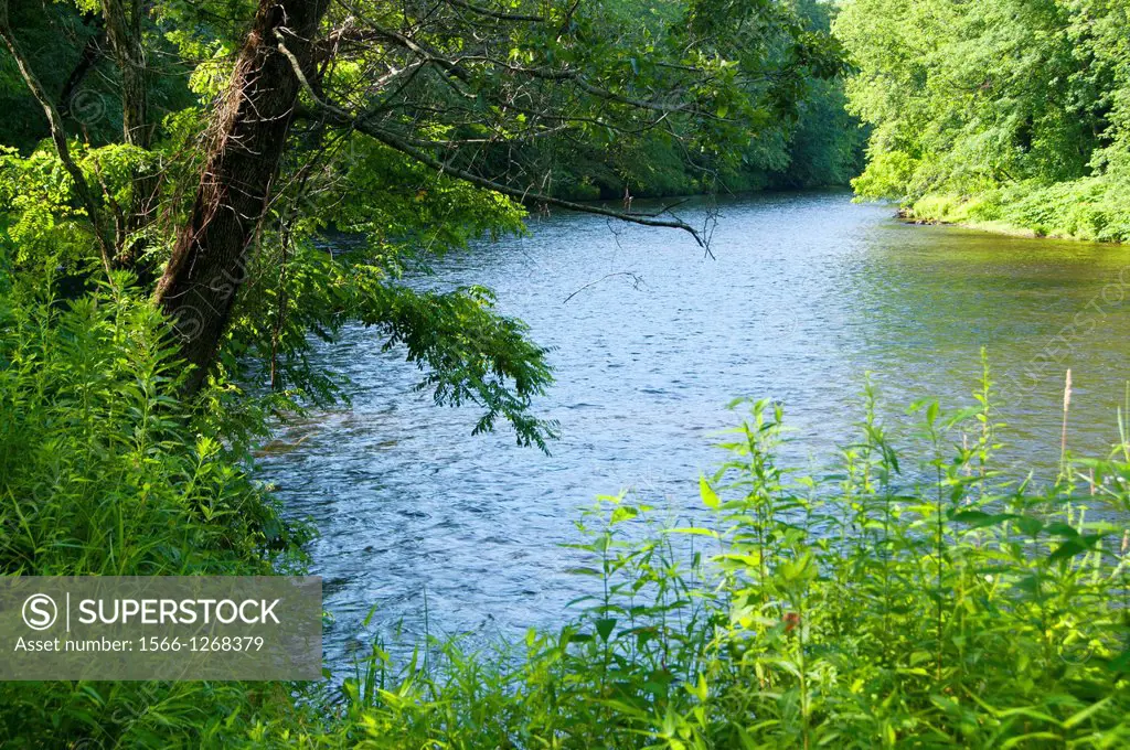 Farmington River, Town Park, Windsor, Connecticut