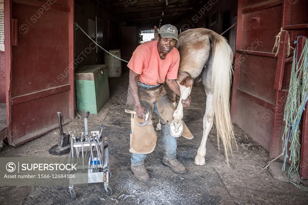 A farrier is working on a horseshoe in Clinton, Maryland, USA.