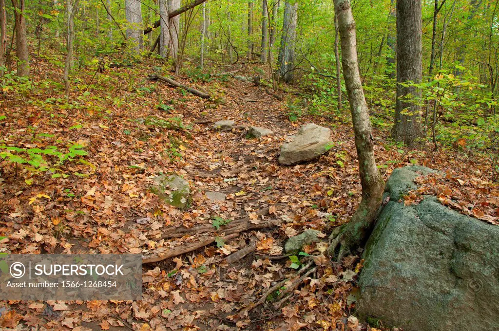 Appalachian Trail, Appalachian National Scenic Trail, Stanley Works Cooperative Wildlife Management Area, Connecticut