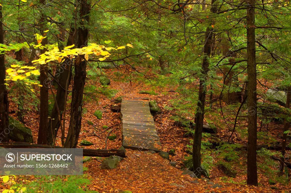 Mattatuck Trail, Buttermilk Falls Preserve, Connecticut