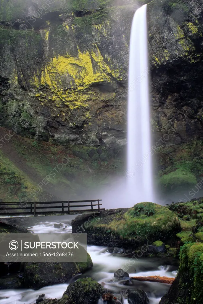 Elowah Falls, Yeon State Park, Columbia River Gorge National Scenic Area, Oregon