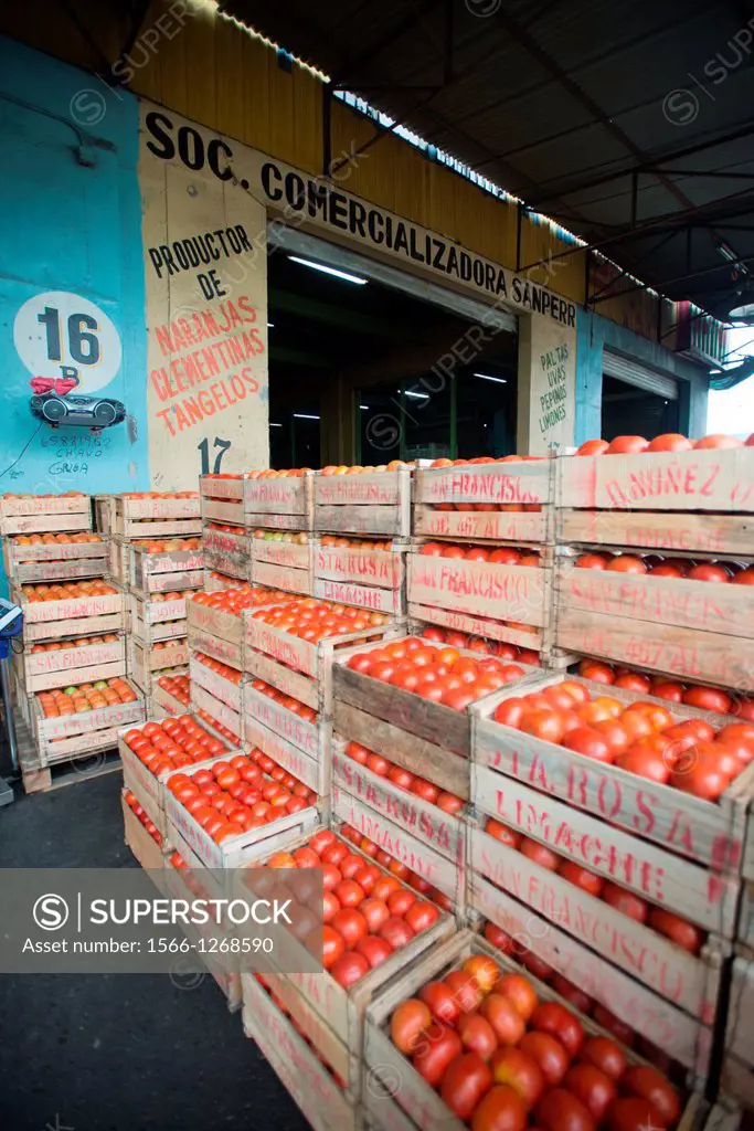 Crates of tomatoes at Lo Valledor central wholesale produce market in Santiago, Chile