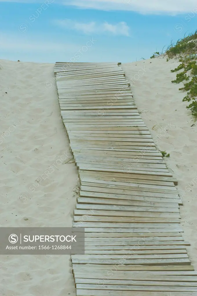 A wooden walkway helps protect coastal sand dunes in a coastal reclamation project