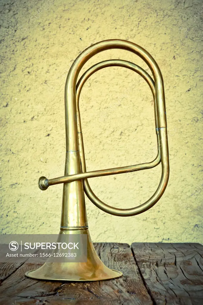 Valveless euphonium. Brass instrument.