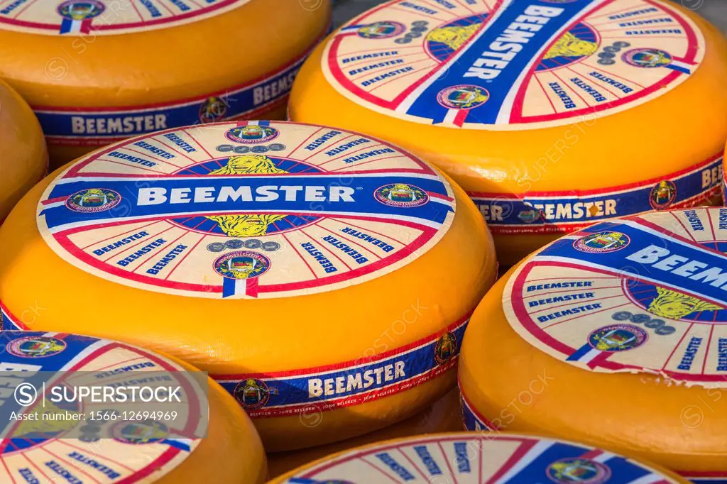 Close up of cheeses at the famous cheese market in Alkmaar, The Netherlands, Europe, Germany