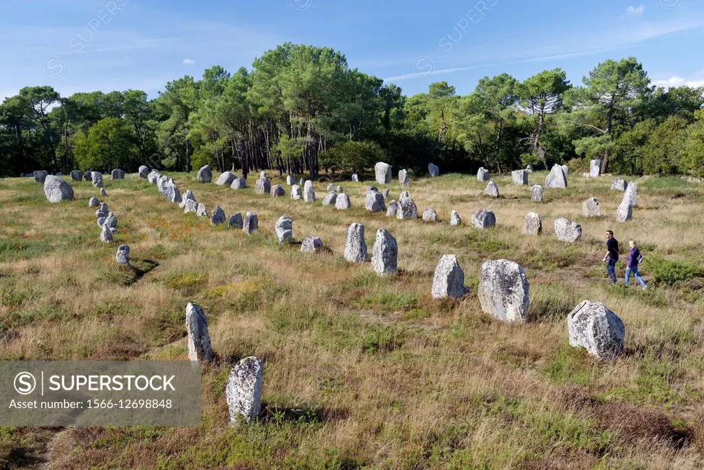 Carnac, France. The Kerlescan group of prehistoric stone row alignments. West from centre of the Neolithic megalithic monument.